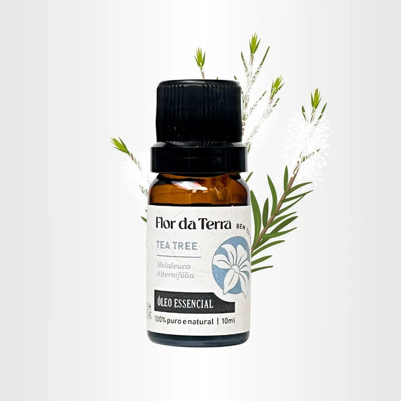 Óleo Essencial Tea Tree (Melaleuca) 10ml - Perfume de Ester