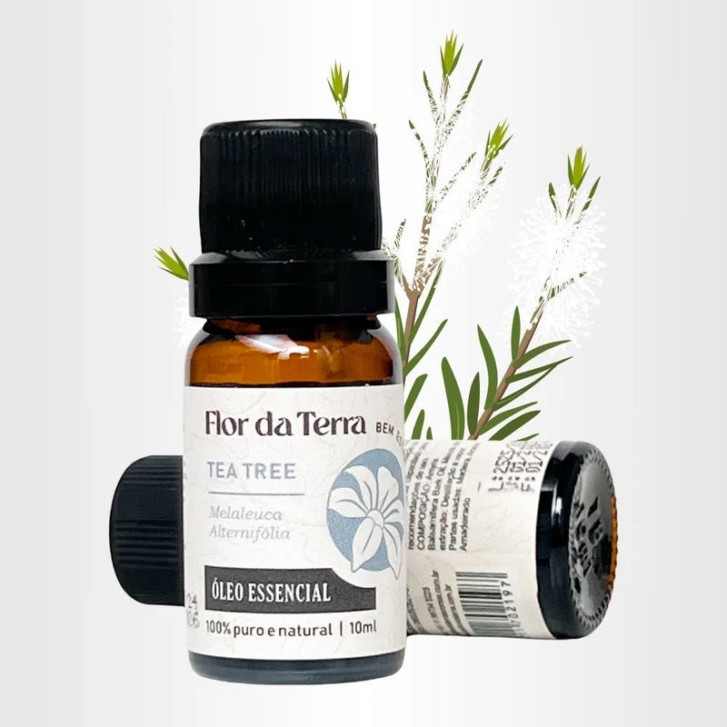 Óleo Essencial Tea Tree (Melaleuca) 10ml - Perfume de Ester