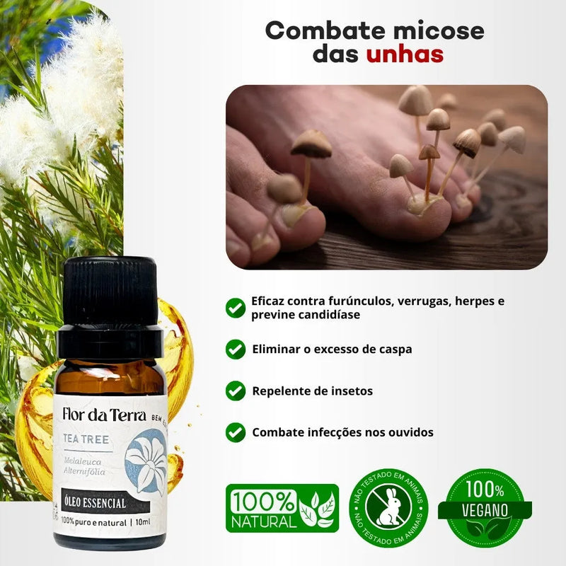 Óleo Essencial Tea Tree (Melaleuca) 10ml - Perfume de Ester